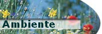 Ambiente