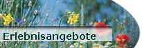 Erlebnisangebote